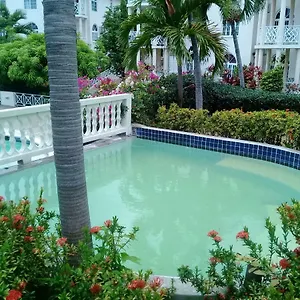  Apartment Studio Apartment! Jamaica